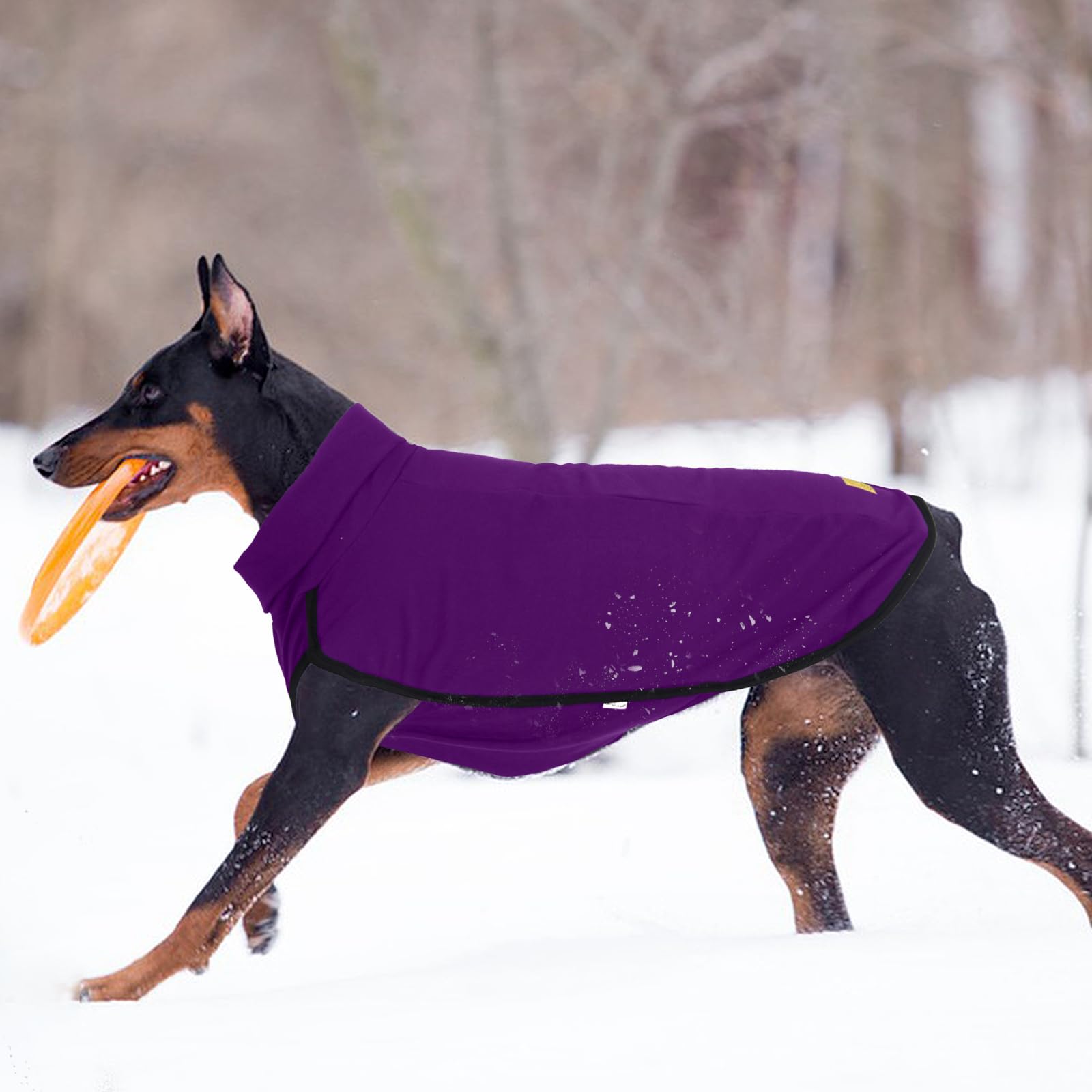 XPUDAC suéter para perro fácil de poner, diseño tipo pullover.
