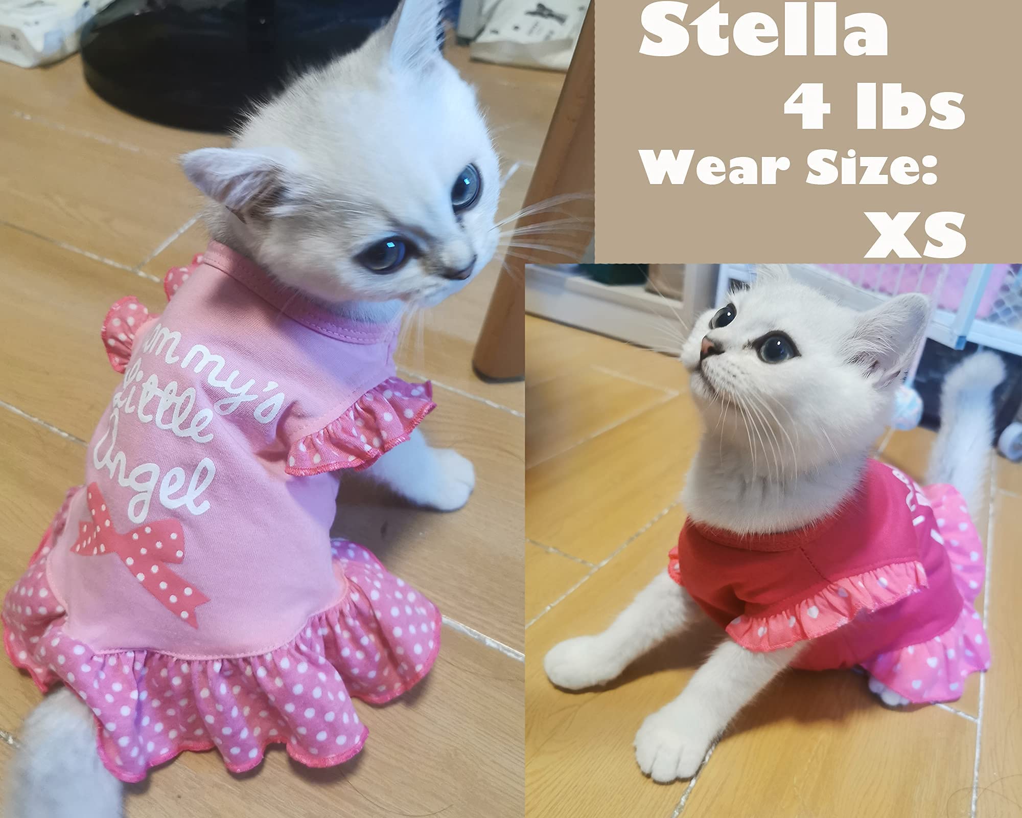 XPUDAC vestido para gato y perro diario, cómodo y fácil de usar