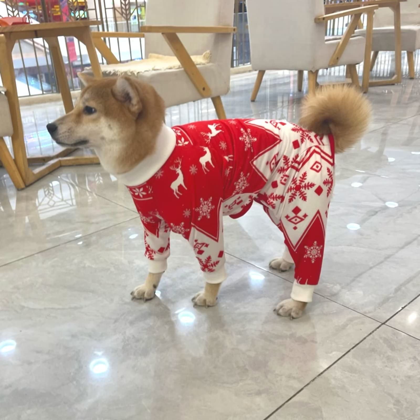 Xqpetlihai alternativa al cono para perros activos.