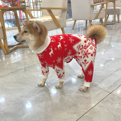 Xqpetlihai alternativa al cono para perros activos.