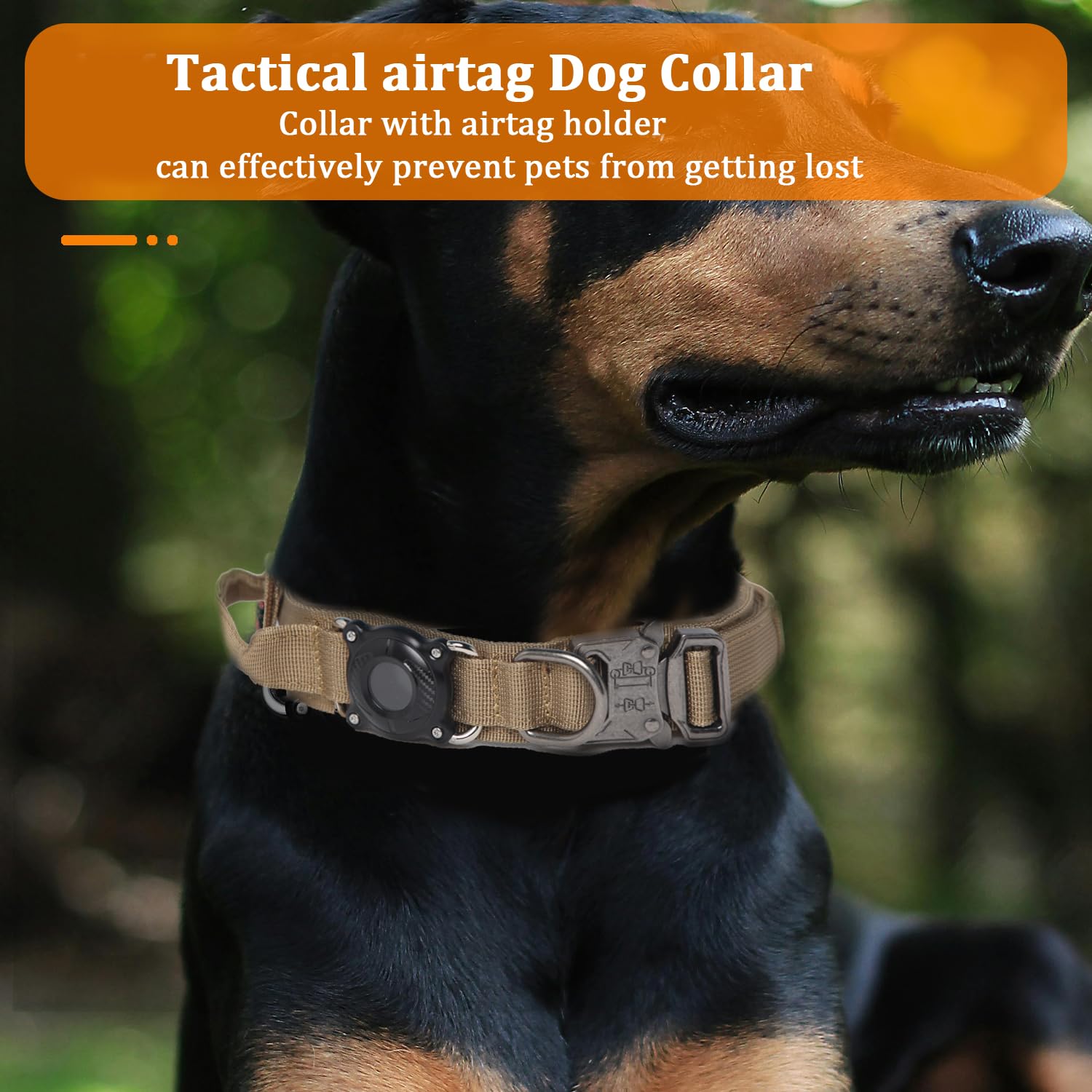Xqpetlihai collar con cierre de seguridad doble para mayor fiabilidad.