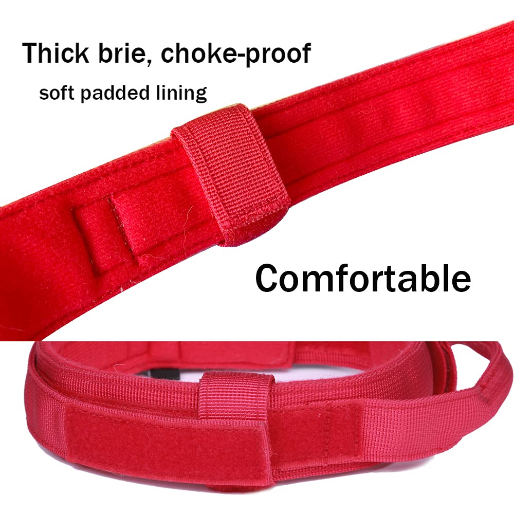 Xqpetlihai collar-acolchado-suave para mayor comodidad diaria