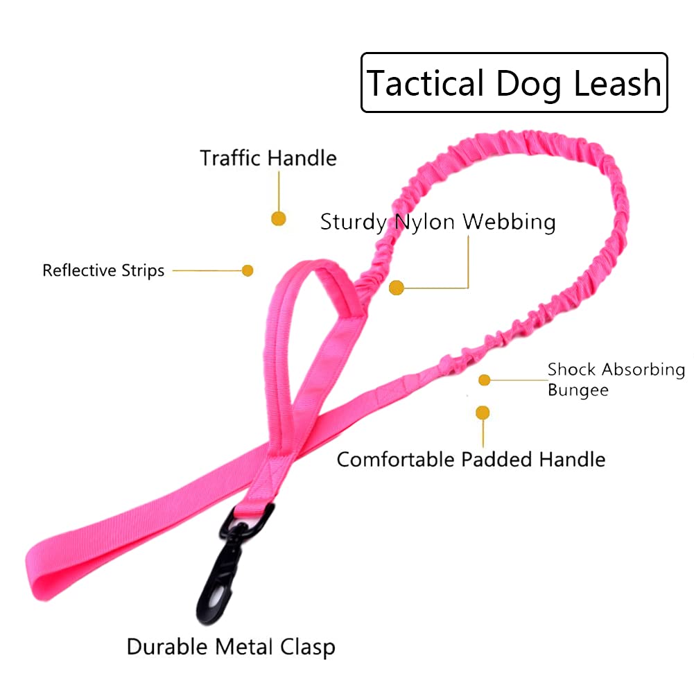Xqpetlihai collar ajustable para perros grandes con ajuste cómodo.