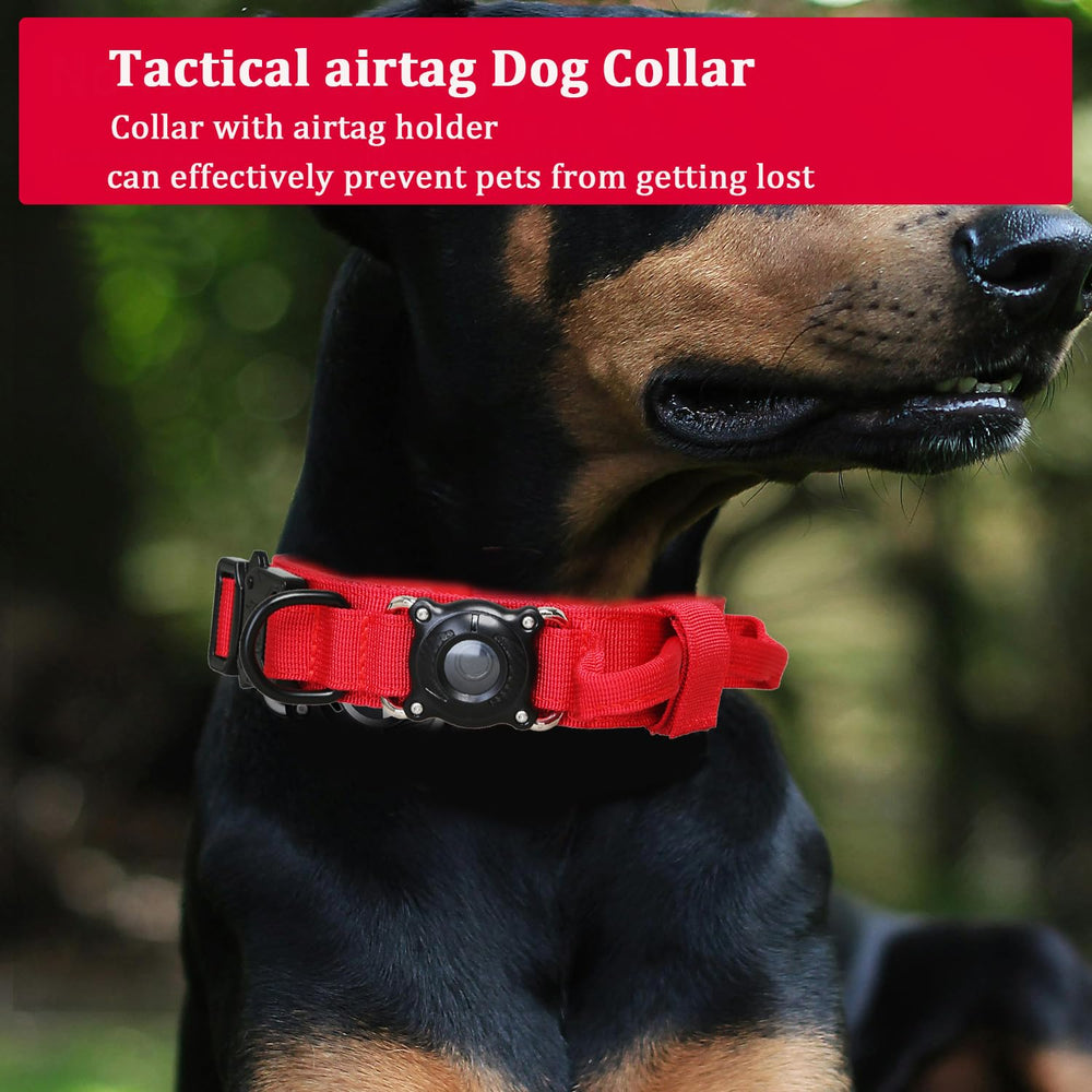 Xqpetlihai collar de ajuste rápido en talla XL para perros grandes.