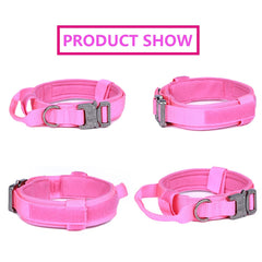 Xqpetlihai collar con asa de control para manejo seguro.