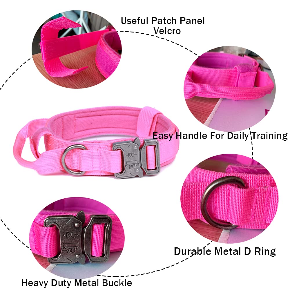 Xqpetlihai collar de doble seguridad con velcro y hebilla.