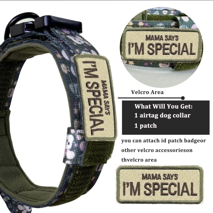 Xqpetlihai collar con doble seguridad, cierre seguro durante entrenamientos activos.