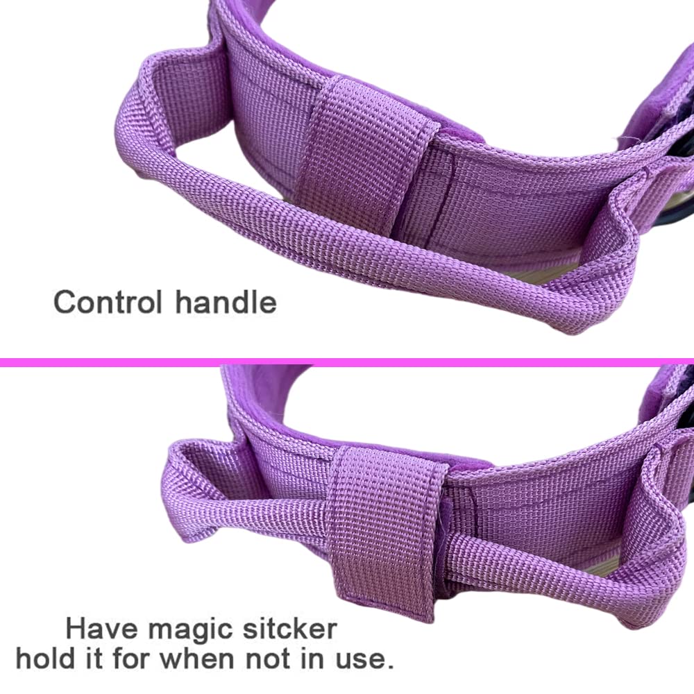 Xqpetlihai diseño de doble seguridad para poner y quitar con confianza.