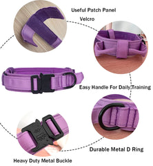 Xqpetlihai hebilla metálica duradera mejora la sujeción del collar.