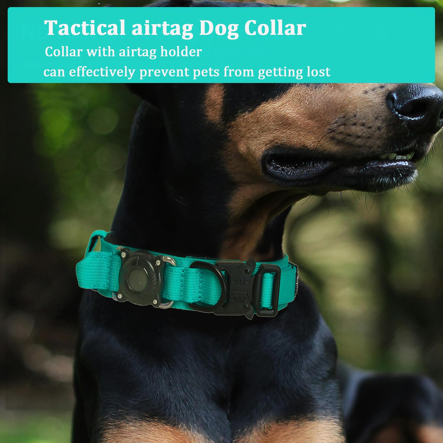 Xqpetlihai collar AirTag Teal, cierre de seguridad doble para ajuste estable.