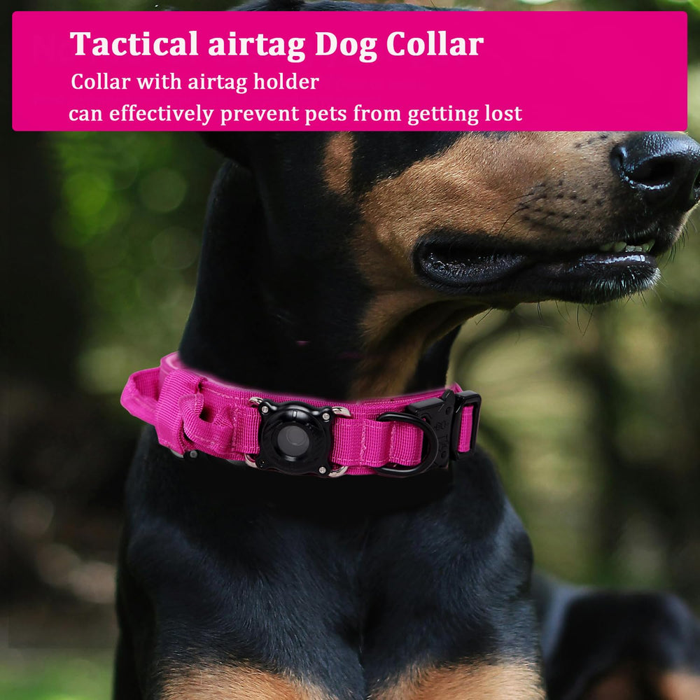 Xqpetlihai collar ideal para caminatas, paseos y aventuras al aire libre.