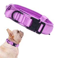 Collar táctico Xqpetlihai morado en nylon 1000D para paseos y entrenamiento.