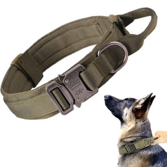 Xqpetlihai collar táctico para perro en nylon 1000D, resistente para paseos exigentes.
