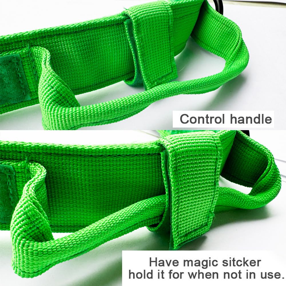 Xqpetlihai interior acolchado y cómodo para uso prolongado