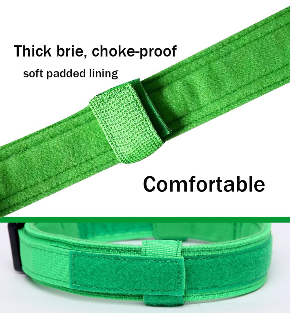 Xqpetlihai collar táctico verde en uso diario para adiestramiento y caminatas