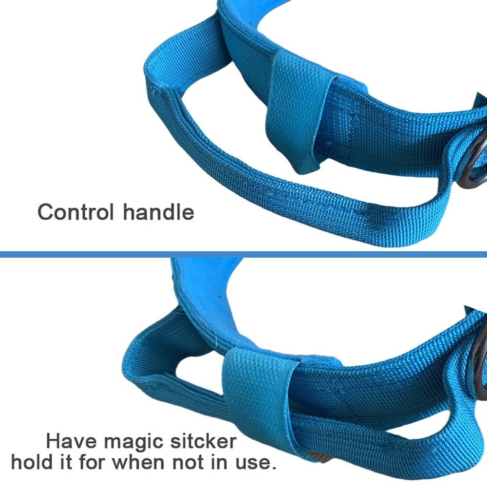 Xqpetlihai collar táctico para paseos y entrenamiento