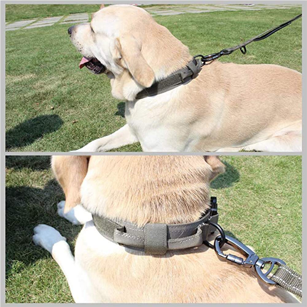 Xqpetlihai versión verde M, adecuada para perros grandes.