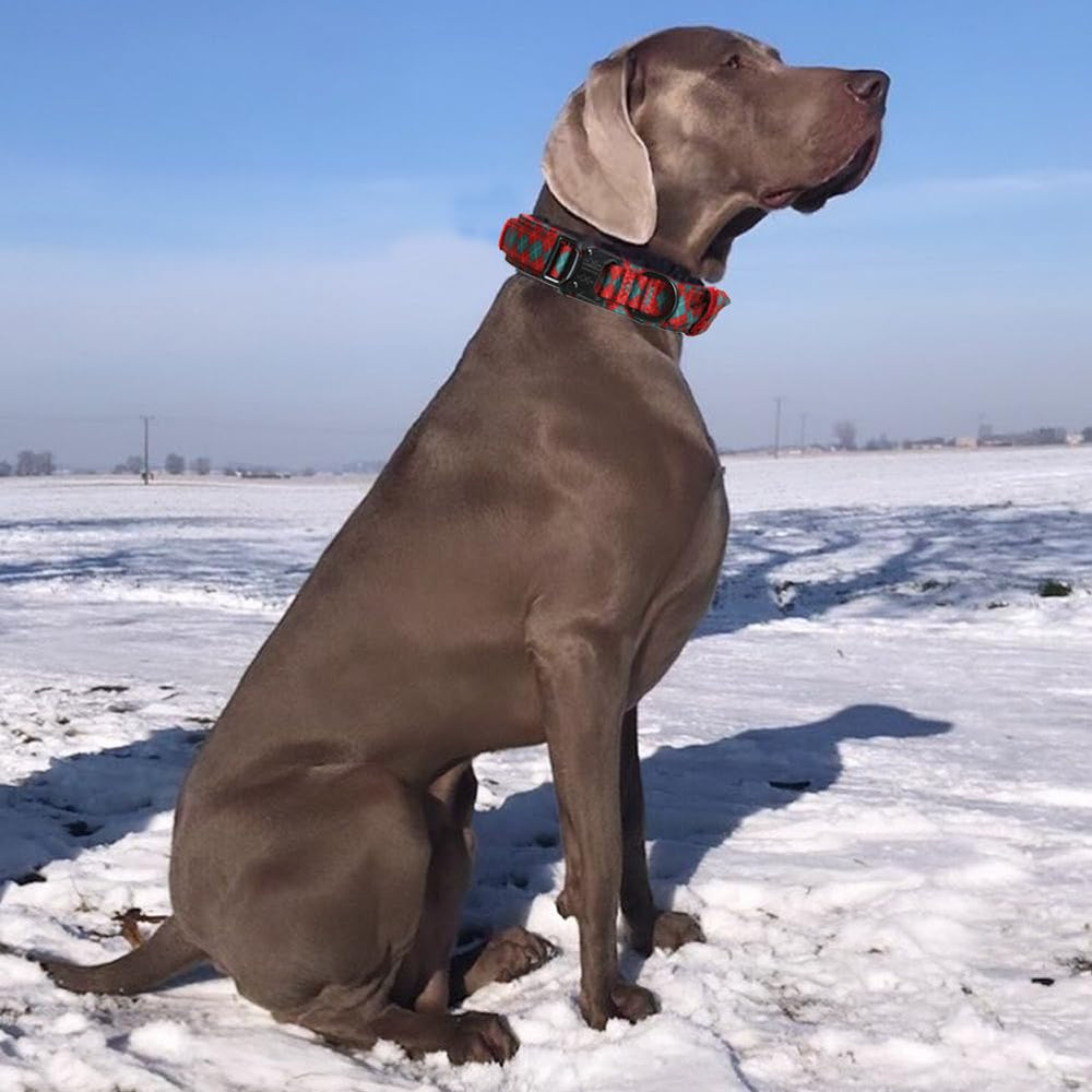 Collar verde Navidad de Xqpetlihai añade estilo y seguridad.