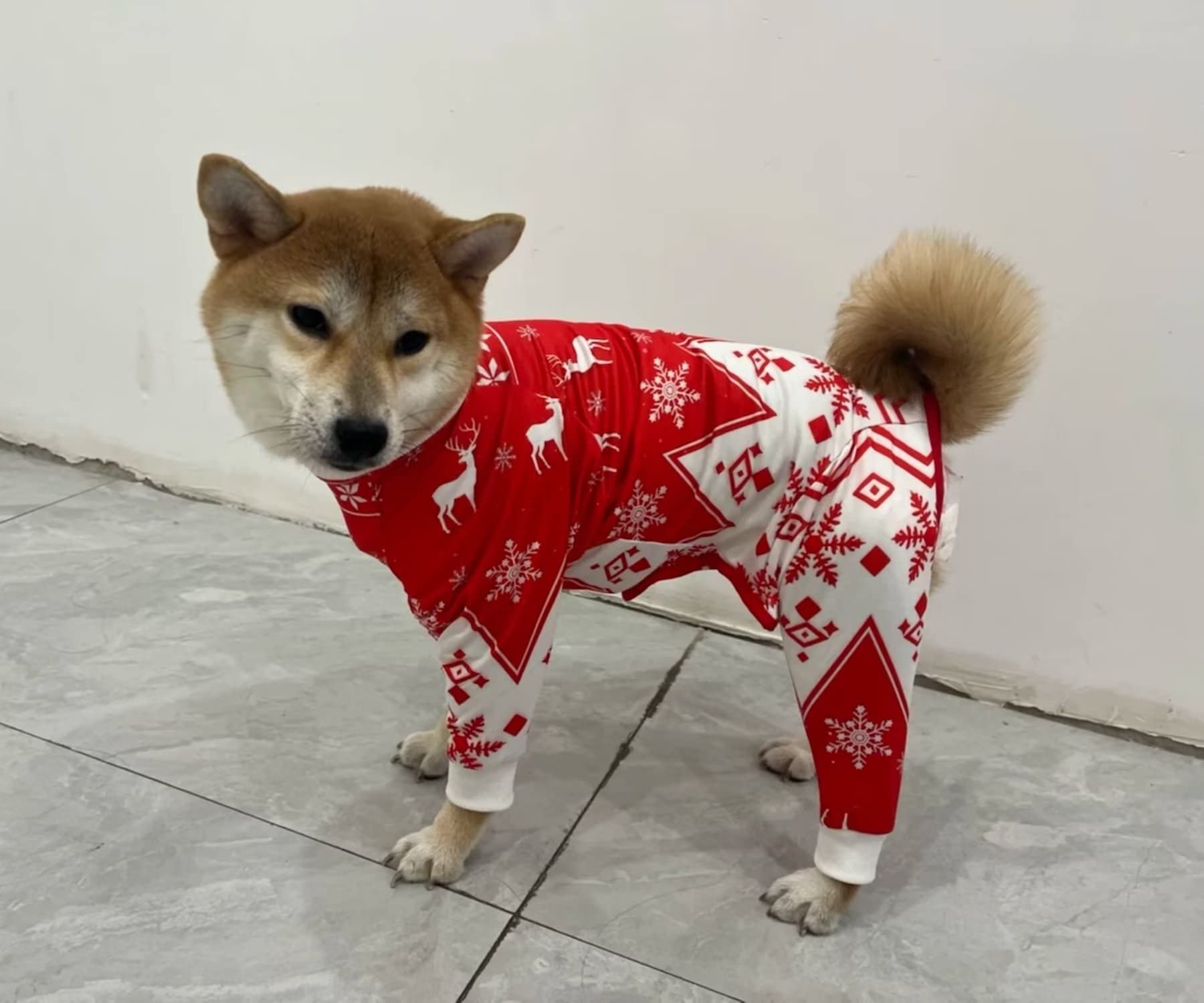 Xqpetlihai guía de tallas para perros medianos y grandes.