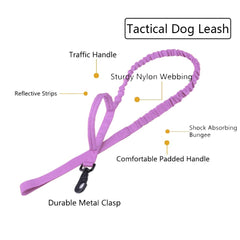 Xqpetlihai hebilla de metal resistente, seguridad adicional para paseos y entrenamiento