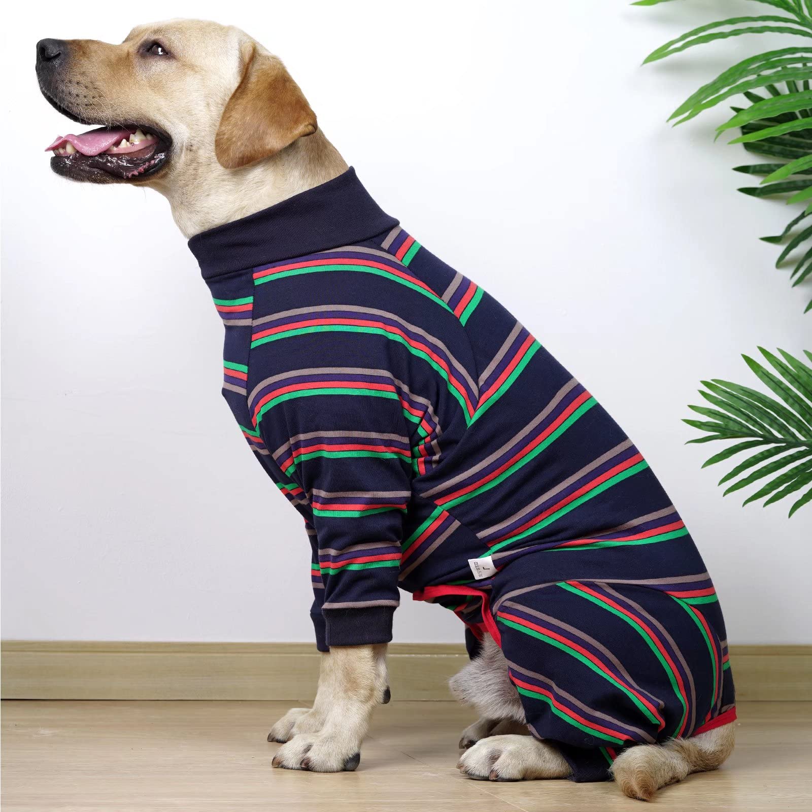 Xqpetlihai pijama de recuperación para perros, cómodo mientras descansan.