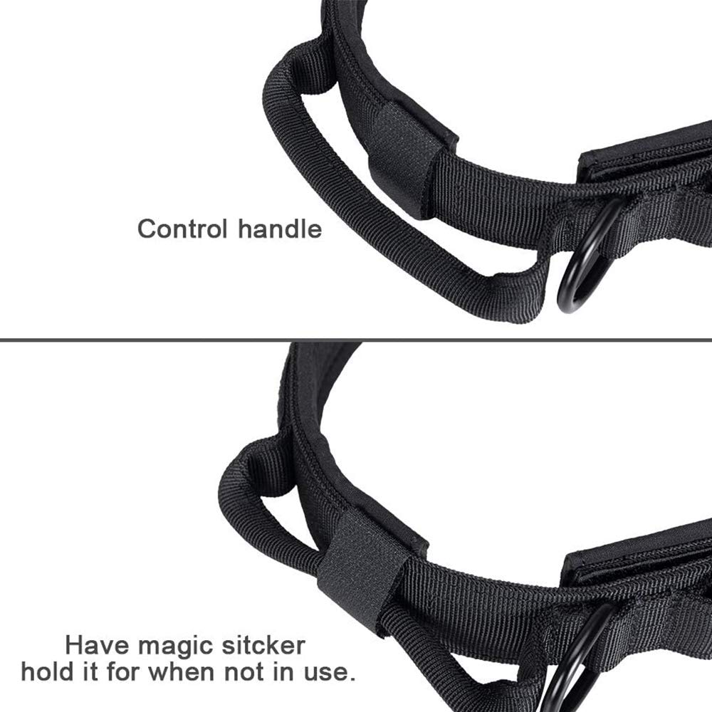 Xqpetlihai tres tallas disponibles para ajuste perfecto en perros medianos y grandes