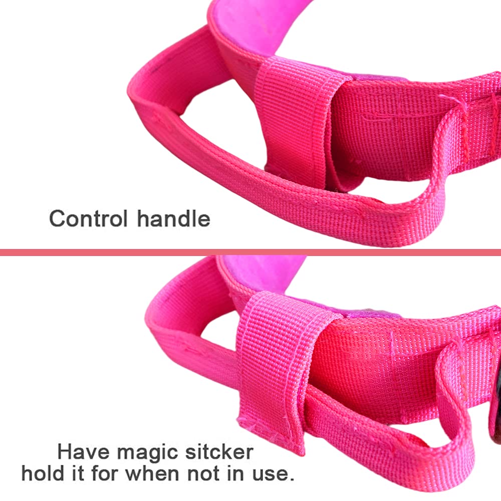 Guía de tallas con tres opciones para adaptar el collar al cuello con precisión