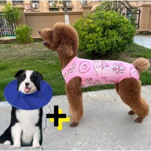Xqpetlihai traje de recuperación para perro con cuerpo completo protege la herida.