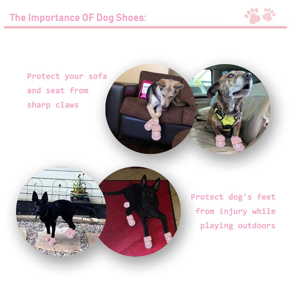 Botas XSY&G para perro, suela duradera para caminatas largas