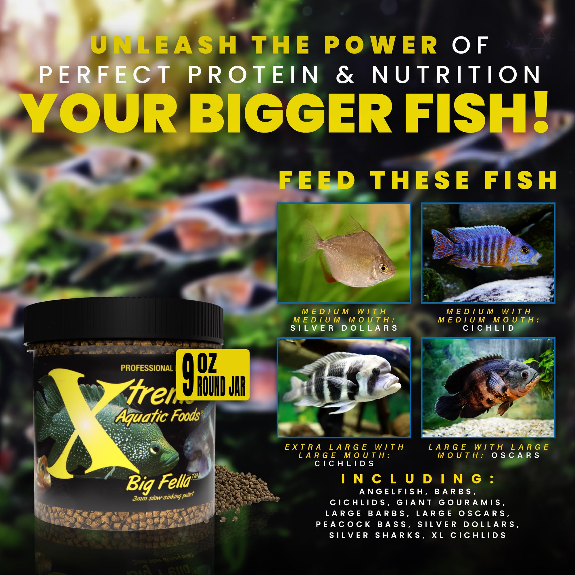 Xtreme Aquatic Foods Big Fella: apoyo inmunidad y digestión, con baja producción de desechos.