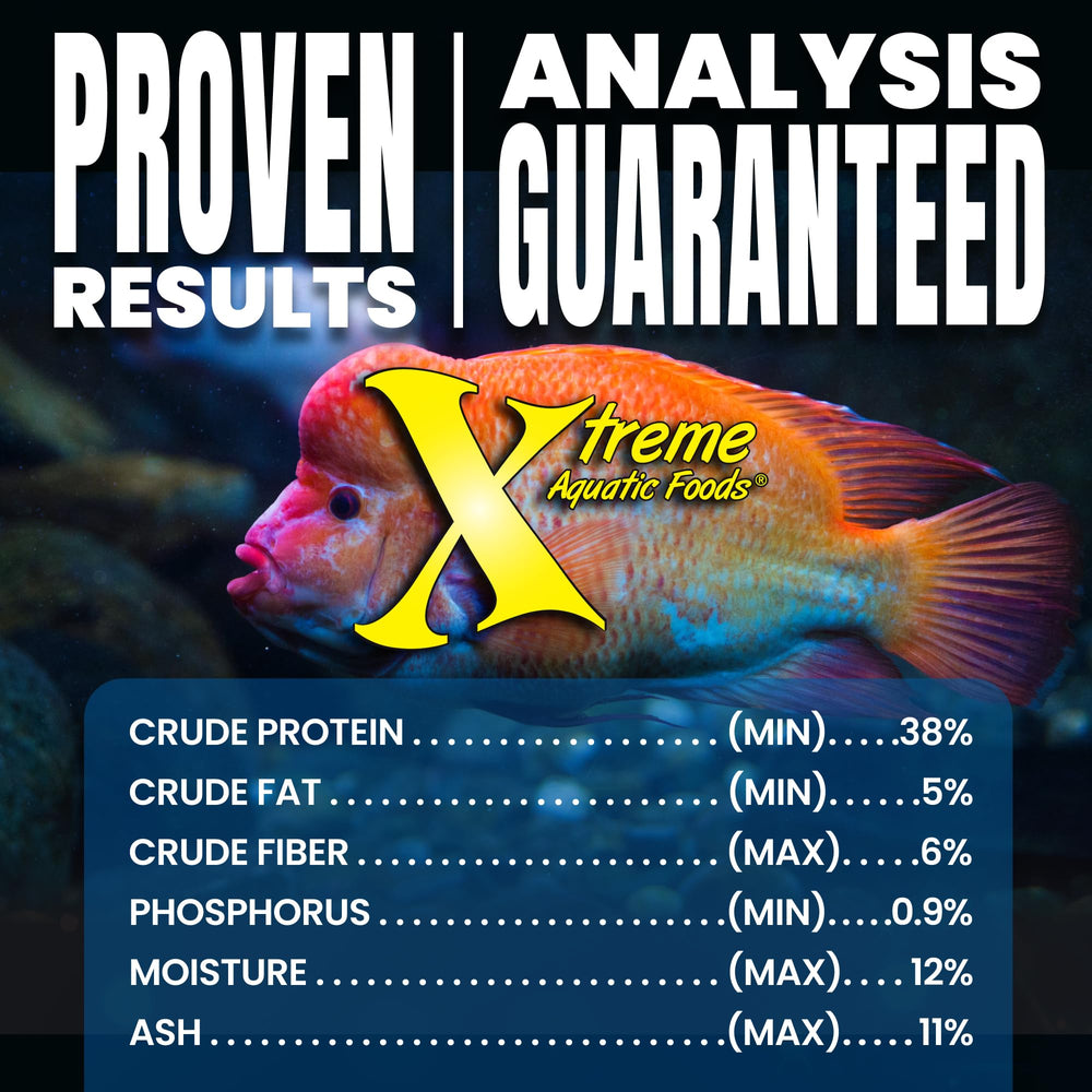 Xtreme Aquatic Foods Big Fella: uso diario para peces medianos y grandes.