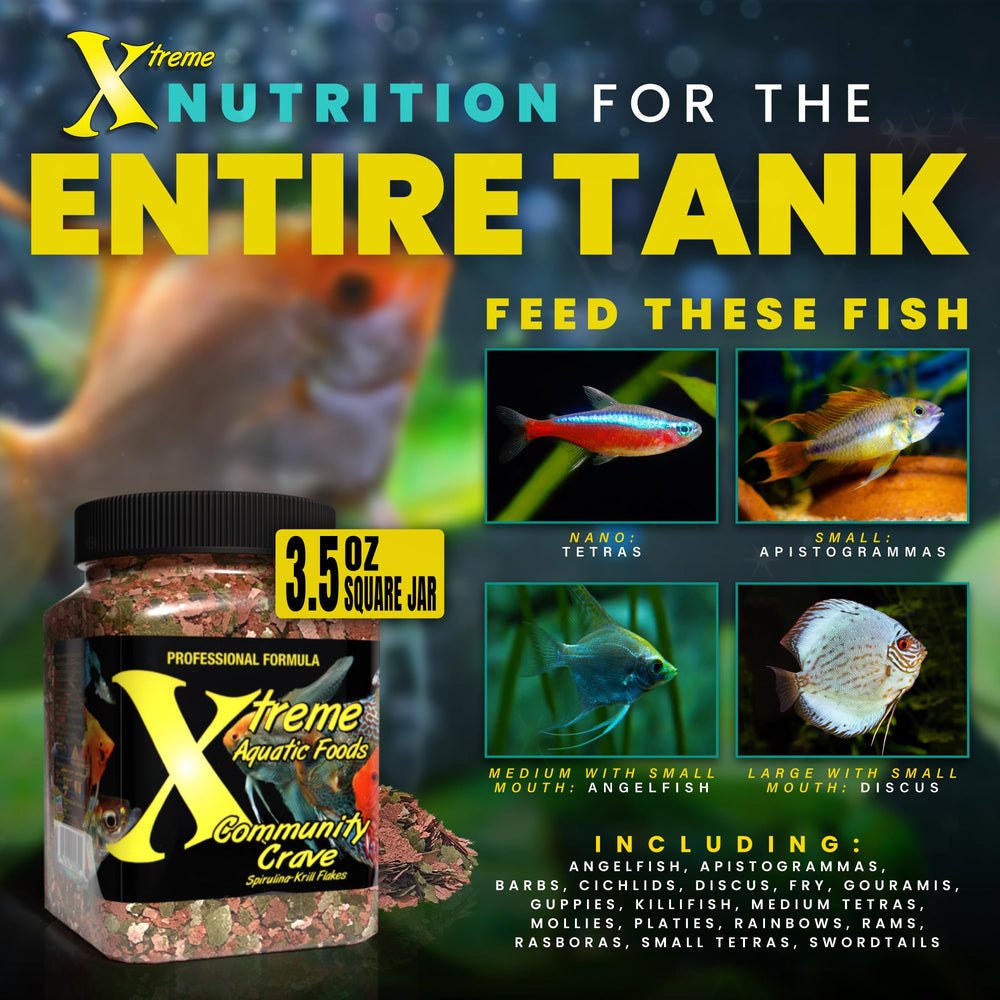 Xtreme Community Crave Flake: colores brillantes de peces impulsados por nutrientes naturales