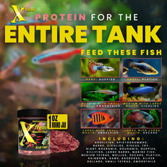 Xtreme Copos Kril: mejora la coloración y brillo de los peces.