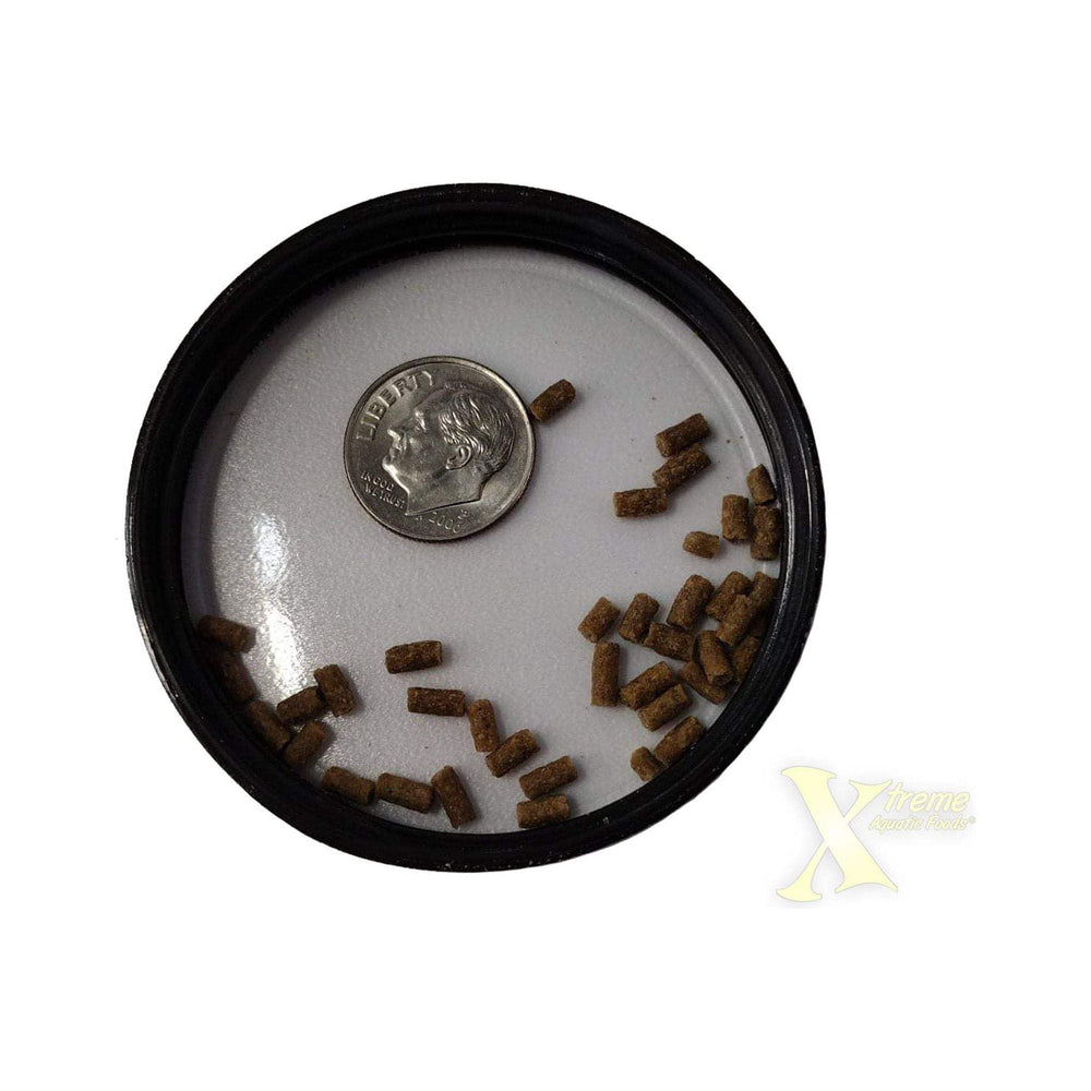Xtreme Shrimpee ofrece nutrientes altos para camarones en acuario.
