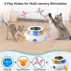 Xuyub pluma en emboscada para gatos, fomenta persecución suave.