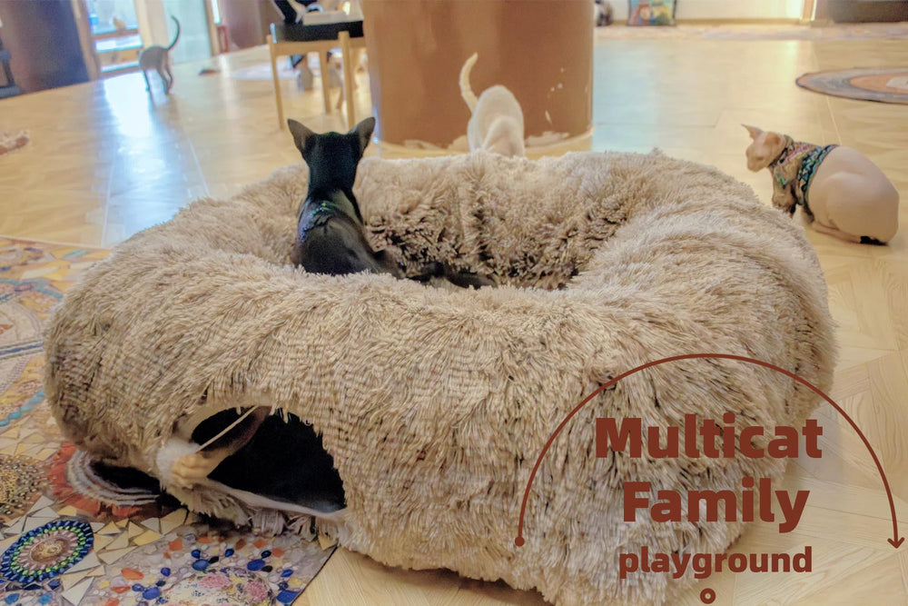 XxingSheep XL túnel largo para juego y siestas en casa