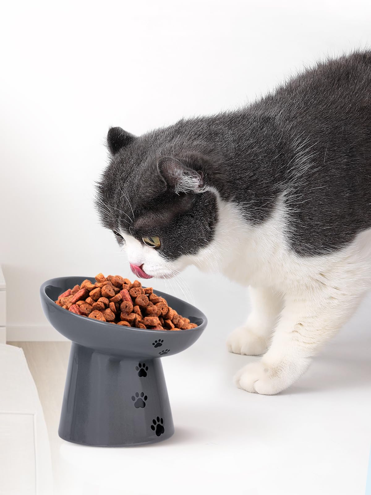 Y YHY experiencia de alimentación más tranquila para gatos.