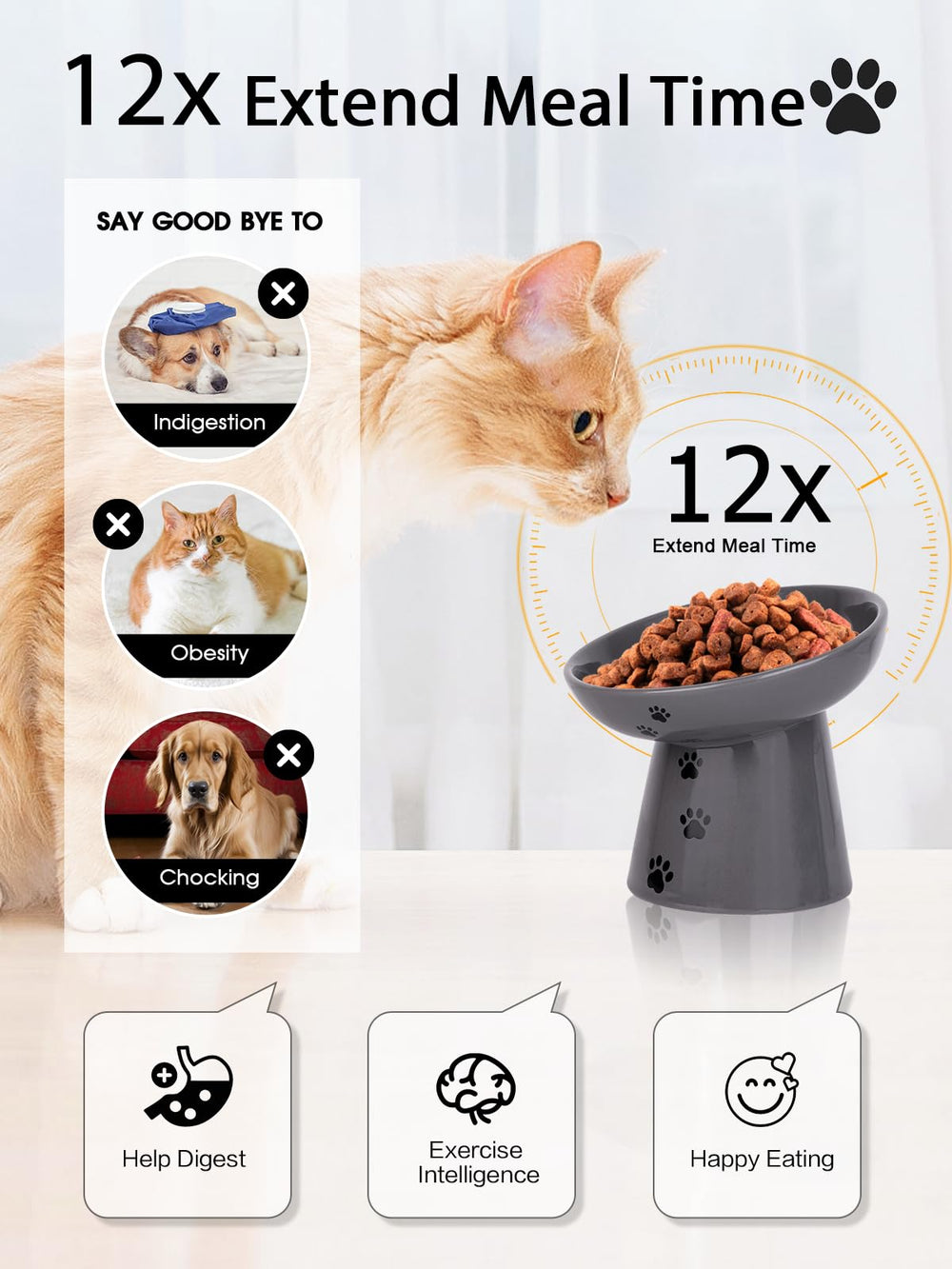 Y YHY tazón elevado para gatos, cerámica estable durante la comida.