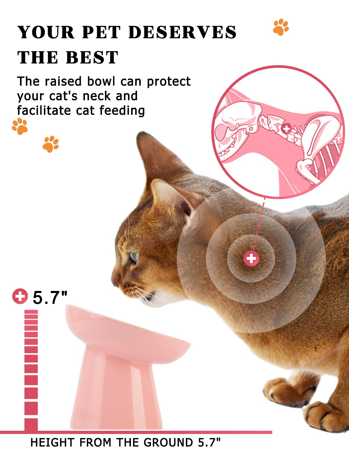 Tazón poco profundo para gatos, reduce interferencia de bigotes.