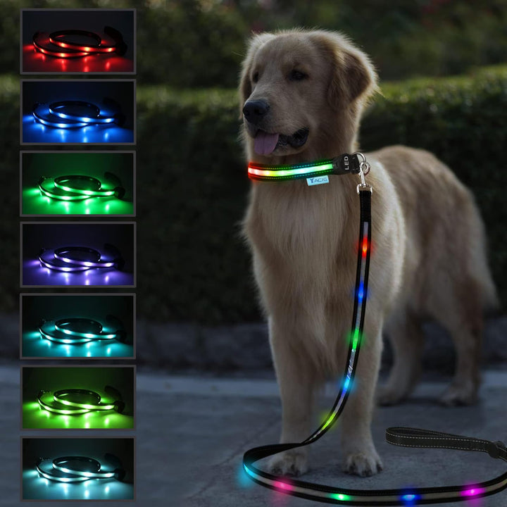 Correa LED Yacig para perro con luz brillante para paseos nocturnos.