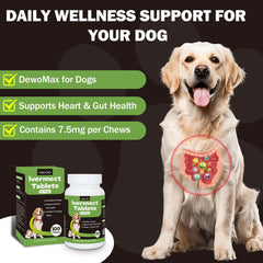 Yakucho lvermect-tabletas-perro-equilibrio-intestinal: mantiene un balance digestivo cómodo
