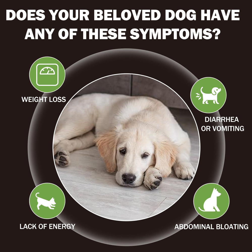 Yakucho lvermect-tabletas-perro-salud-digestiva: apoyo suave a la salud intestinal
