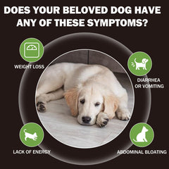 Yakucho lvermect-tabletas-perro-salud-digestiva: apoyo suave a la salud intestinal