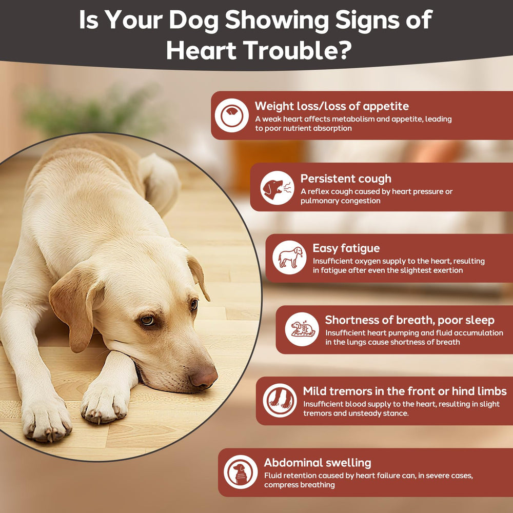 Yakucho Sistema cardiovascular para perros: tabletas 7,5 mg para función circulatoria.