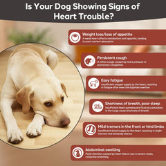 Yakucho Sistema cardiovascular para perros: tabletas 7,5 mg para función circulatoria.