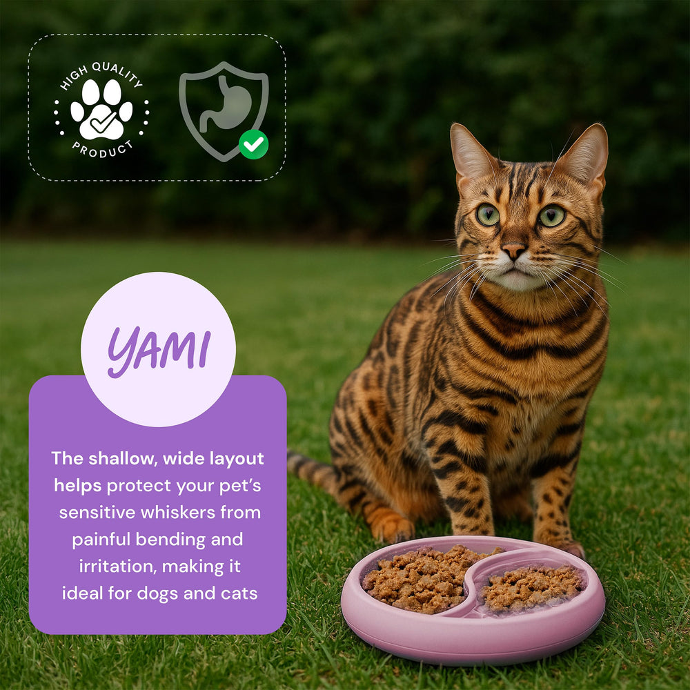 Borde elevado de YAMI contiene comida y premios durante la comida