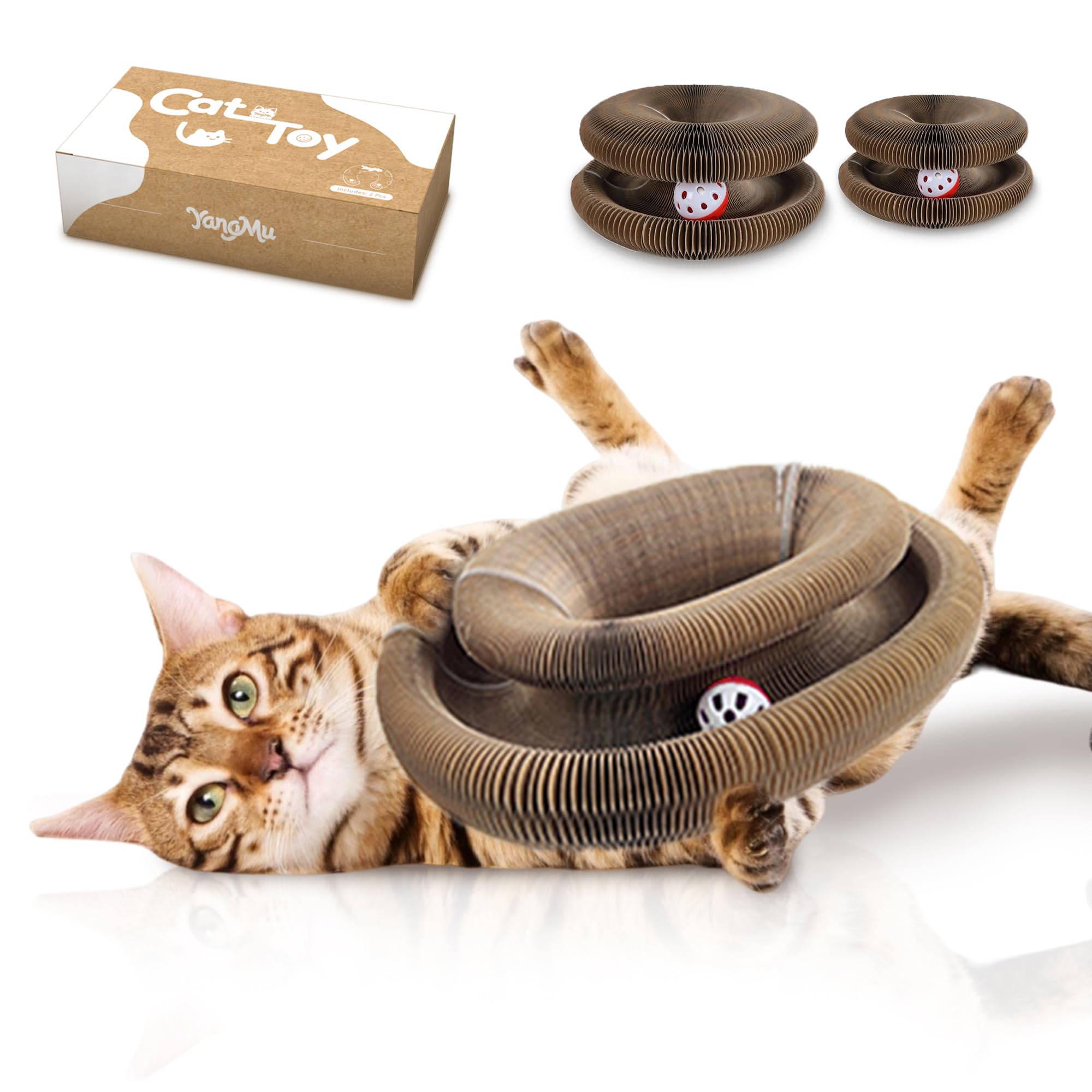 Yangmu rizos gatunos: juguete de dos piezas para juego activo
