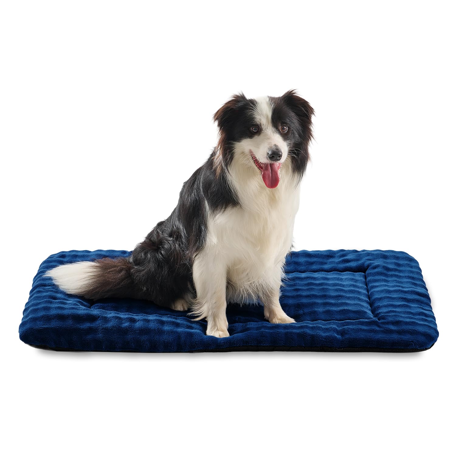 Cama Yaning para perros grandes con burbujas y confort nocturno