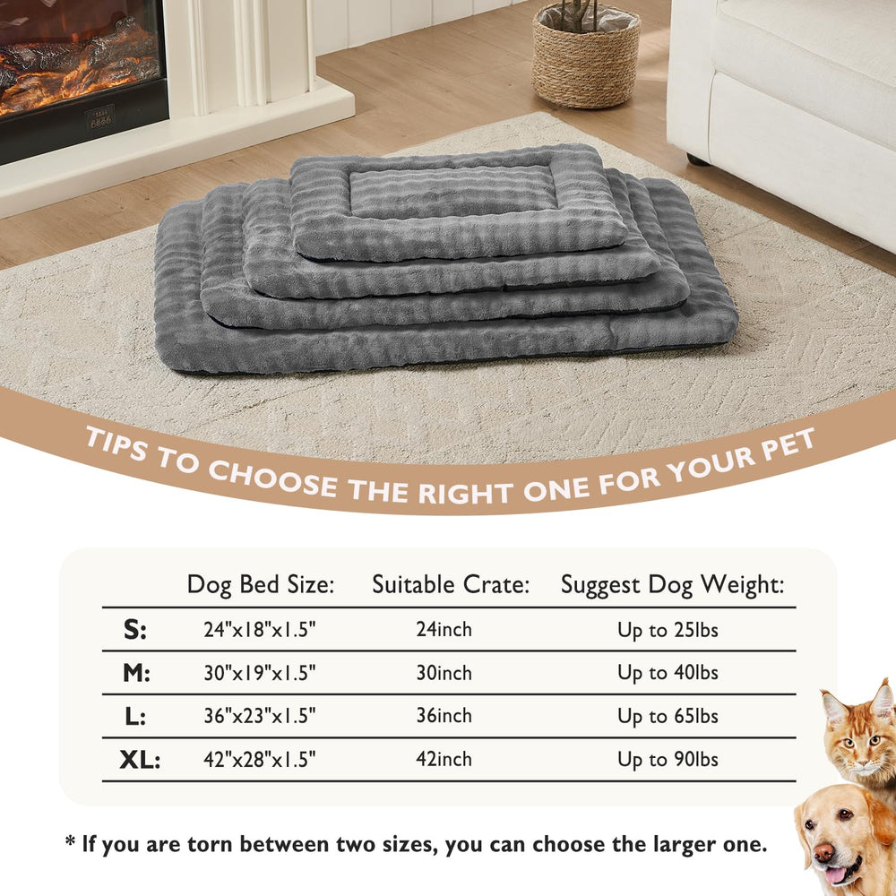 Cuatro tallas disponibles para gatos y perros pequeños