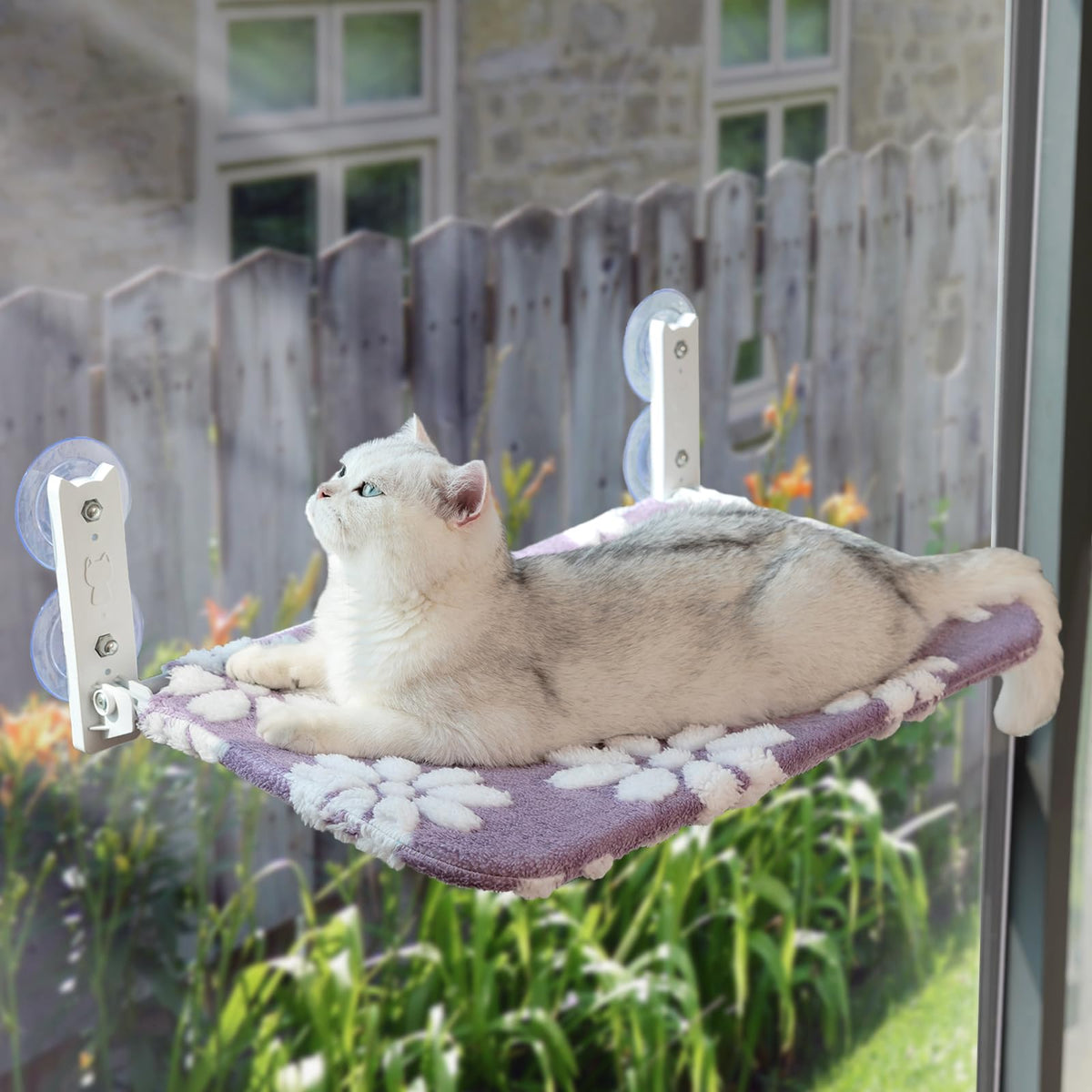 Yaning cama ventana gato con ventosas fuertes para mayor estabilidad.